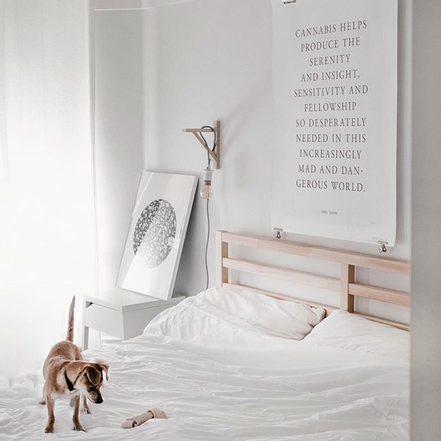 gldleaf's tweet photo. "Cannabis helps produce the serenity and insight, sensitivity and fellowship so desperately needed in this mad and dangerous world" - CARL SAGAN
#interiors #interiordesign #decor #home #homedecor #inspiration #truthindecorating #interiordesign #interior4all #interior123 #in… https://t.co/Icivk18IFn