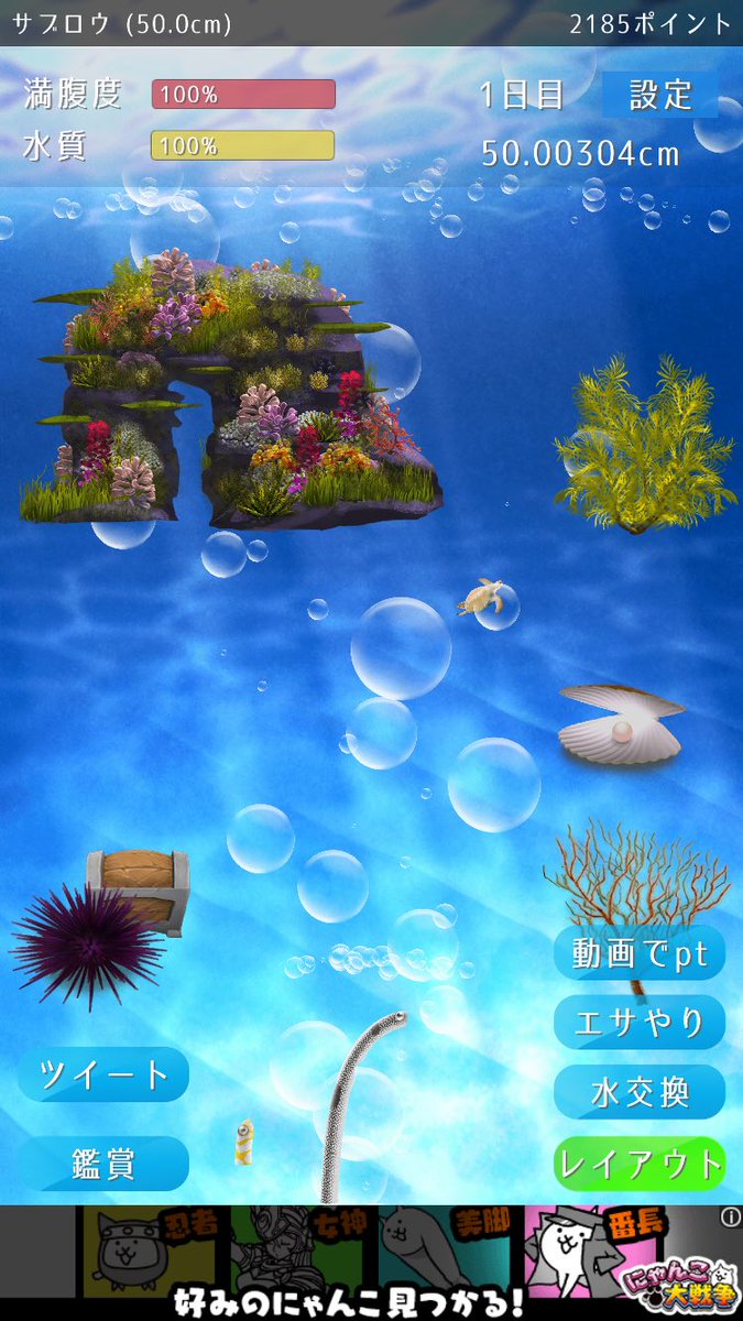 dance_0704's tweet photo. またやってしもうた、、🐢 https://t.co/un8coPUGBa