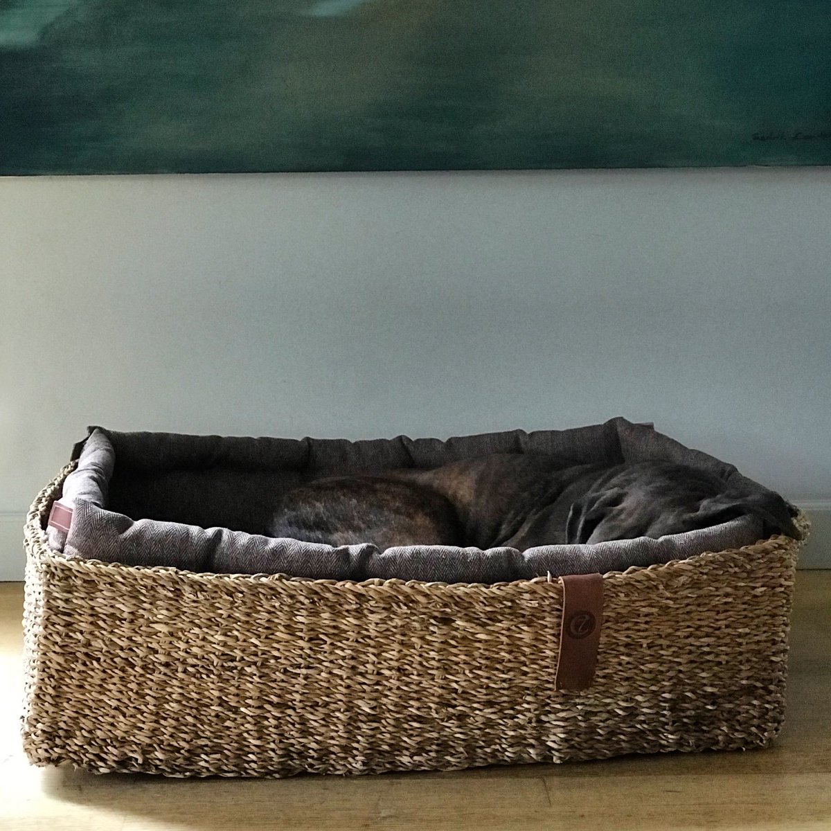 boxerfeliciaw's tweet photo. Where is the Boxer? #blogger #newblogpost #dogblog #dogs #doglover #boxerdog #dogbed @BoxersNation @BoxerFanClub @BoxerDogUnion @BoxerNews @cloud7berlin https://t.co/rk7LY0UIKH https://t.co/rMiua9xXip