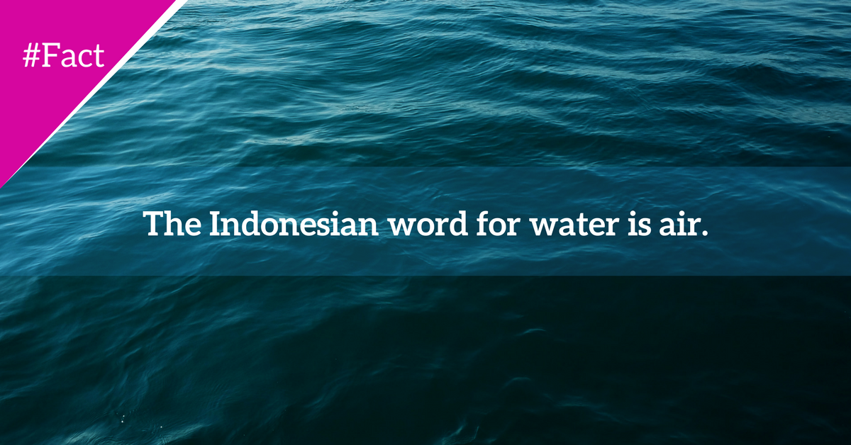 edurite's tweet photo. Its #WorldWaterDay https://t.co/Cf6oAehSfY