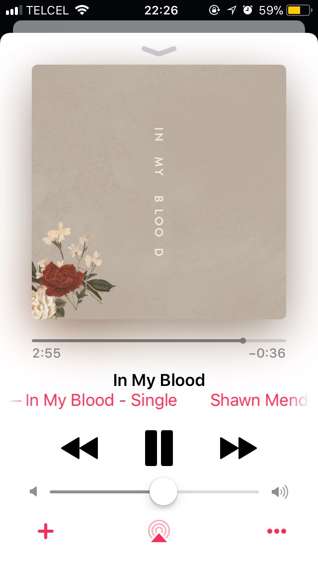 AnaGonzle4's tweet photo. @ShawnMendes  So pround 💕💕💕💖💖 https://t.co/M1ZBKz6Ii0