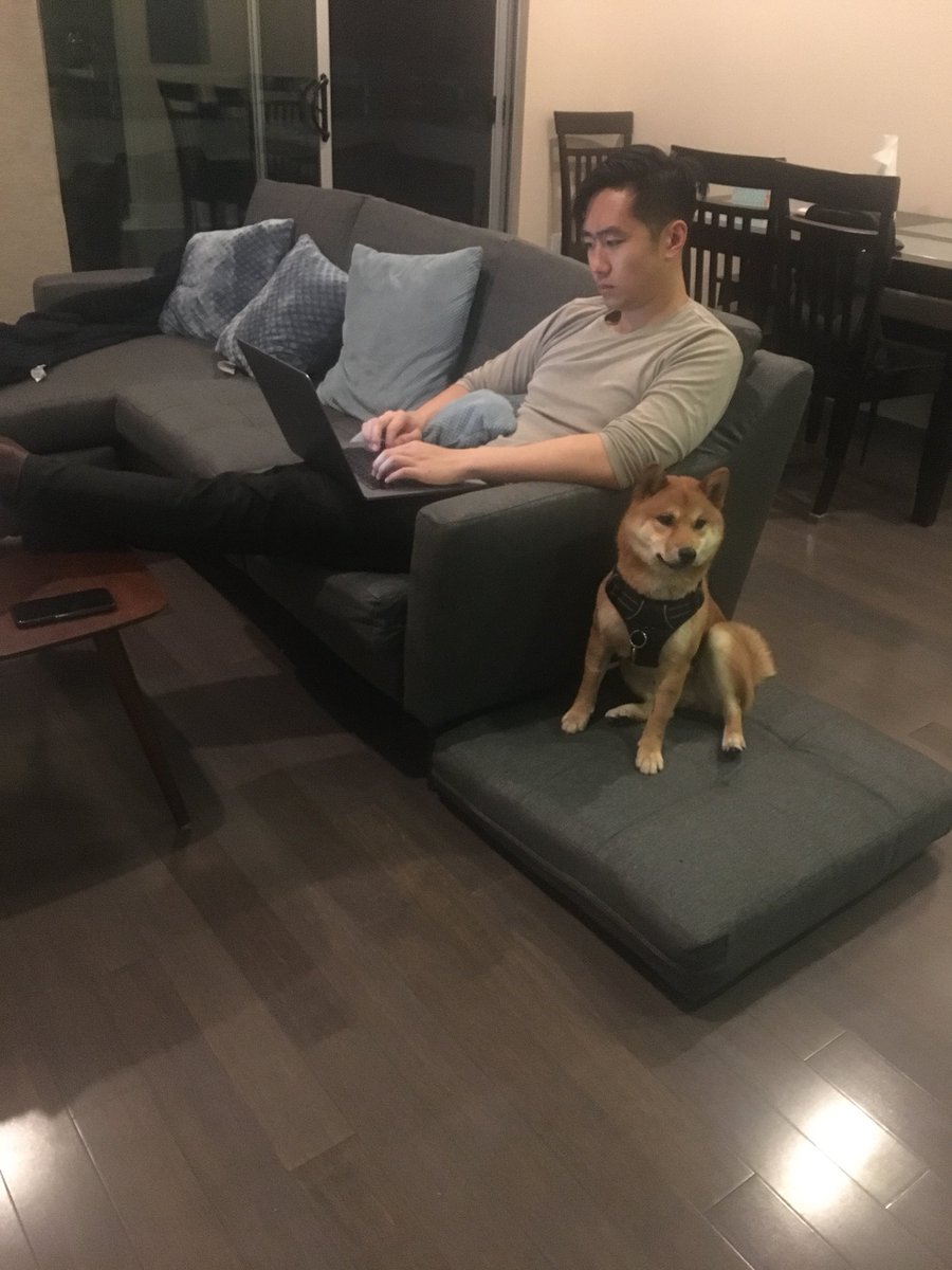 All new <a href="/hiburrow/">Burrow</a> couch just came in and the set up was ridiculously easy! You can tell who’s the most stoked 🐶