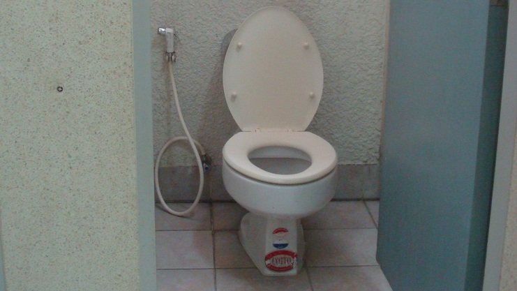 SWFlReporter's tweet image. Cops Hunting For Serial Toilet Clogger! Wait, What? (Video)
ow.ly/K7cF30j5AP4