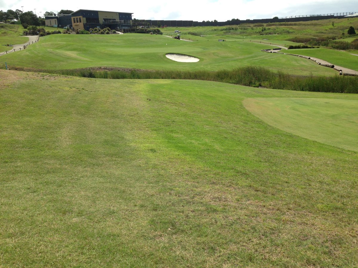 Links Shell Cove GC tweet media