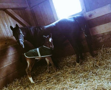 Rick Rothfuss (@R3DVM) | Twitter