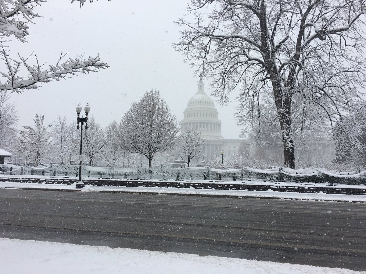 Cape_HS's tweet image. AP Gov students exploring the snowy Capital #wherearethecherryblossoms #springproblems