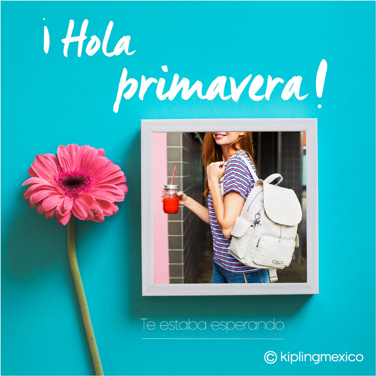 kiplingmexico's tweet photo. Podrán cortar todas las flores, pero no podrán detener la primavera.
Pablo Neruda
#MakeHappy #LoveKipling #KiplingMéxico #KiplingOriginals https://t.co/TKG2MJhT1B
