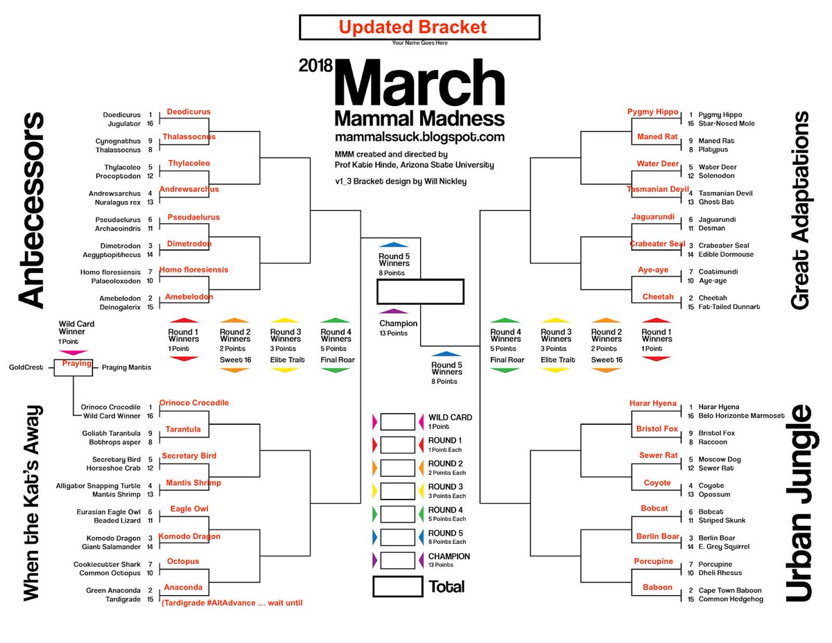 #2018MMM Non-Mammal winners are: Crocodile, Tarantula, Secretary Bird, Mantis Shrimp, Eagle Owl, Komodo Dragon, Octopus, &amp; Anaconda.
Tardigrade #AltAdvances?! Find out what that means NEXT WEEK in during Round 2! 
Tomorrow 8:30 ET- Round 2 Urban Jungle &amp; Great Adaptations
