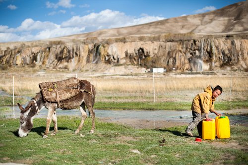 UN Development tweet media