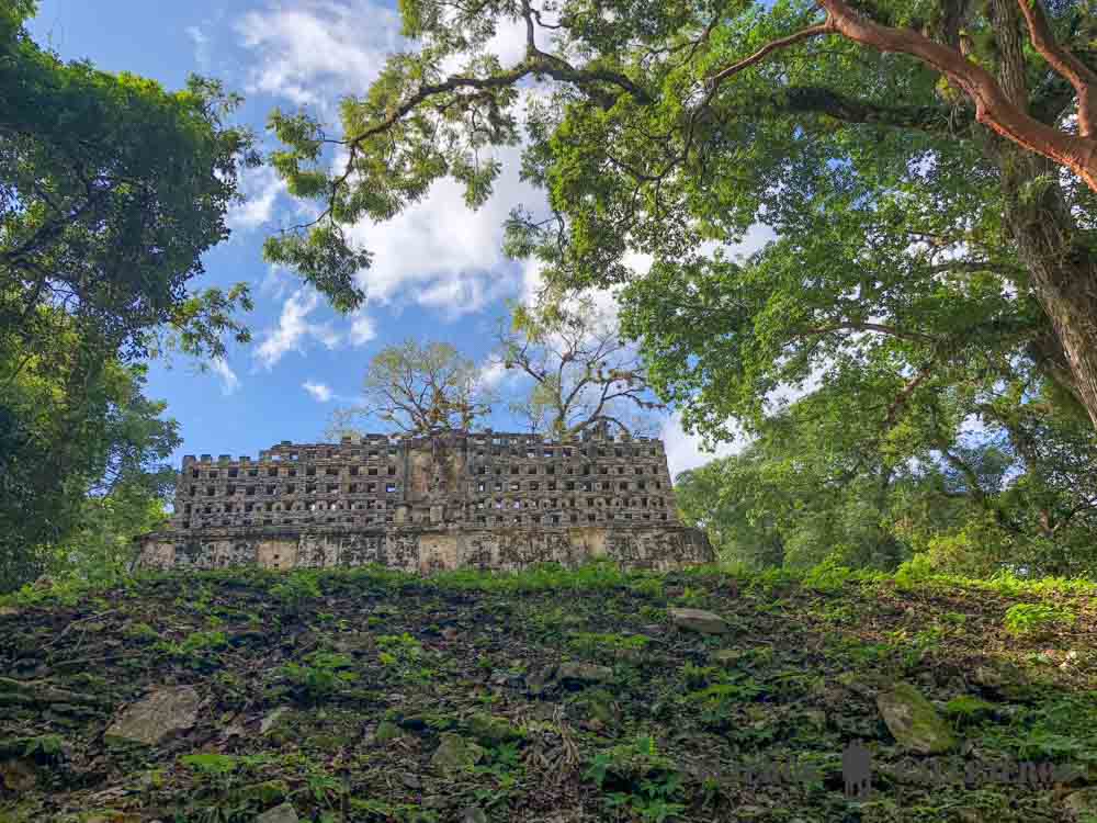 Tour a Yaxchilán y Bonampak desde Palenque, dos de los recintos arqueológicos más impresionantes de México viajeroscallejeros.com/tour-yaxchilan… #Yaxchilán #Bonampak #México