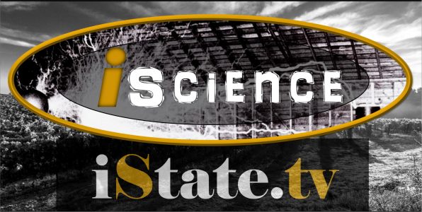 FYI: Humans and Denisovan Hominins Co-Mingled, DNA Shows dlvr.it/QLxQfL