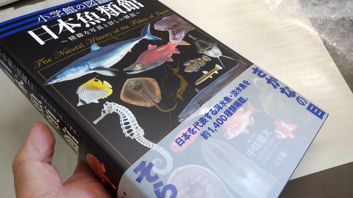 オイカワ丸 Twitterren 小学館の図鑑z 日本魚類館が手元にきた すごい情報量の図鑑 ドジョウ類は私が担当しました しかしこれで七千円は安い 魚好きの人にはお勧めです