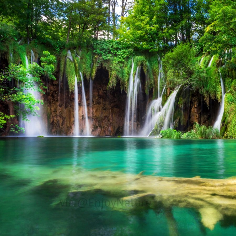 The Amazing World of Nature (@photo_art_usa_i) on Twitter photo 