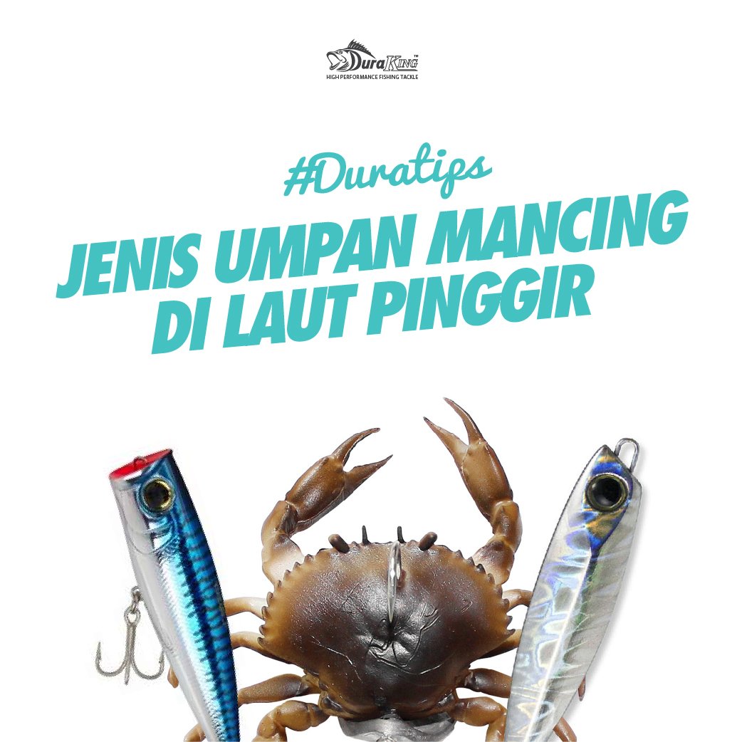 Mau tau jenis umpan mancing di pinggir laut?
Cek langsung di:
instagram.com/duraking/
facebook.com/DuraflexFishin…