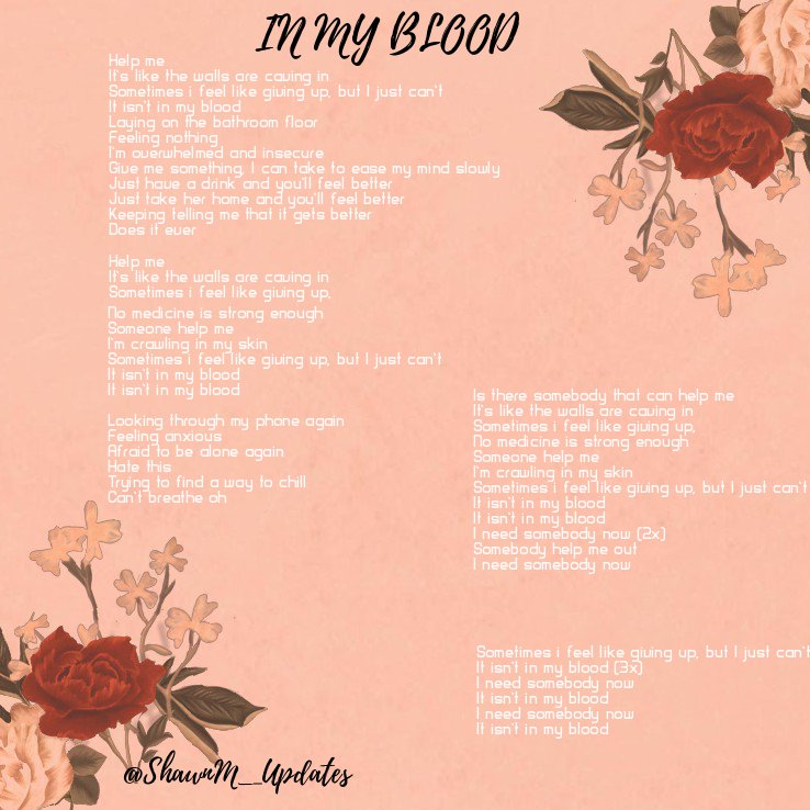 Shawn Mendes Updates On Twitter In My Blood Lyrics A Beautiful Song Showing Such Emotion Streaminmyblood - roblox id shawn mendes in my blood