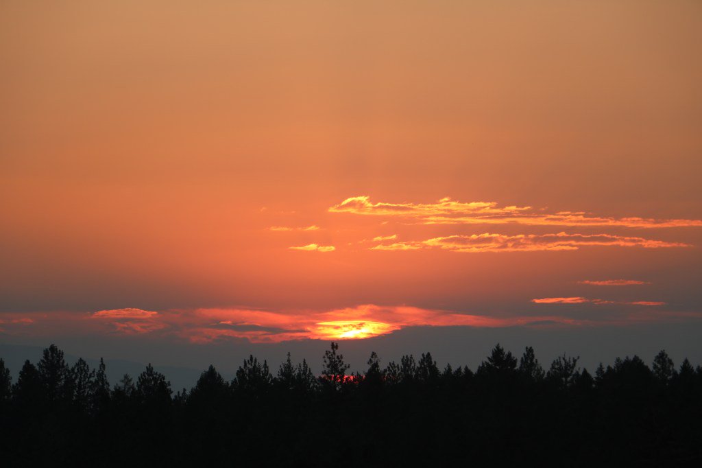 Climate Change Theory theforestblog.com/climate-change…