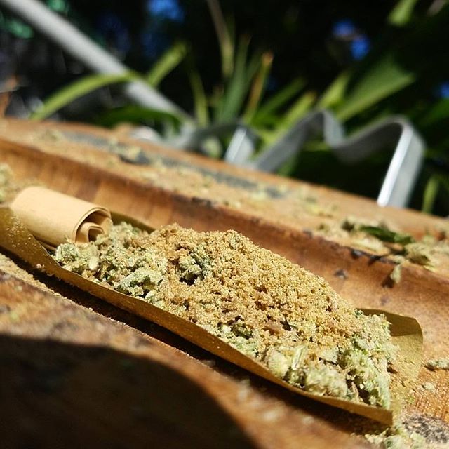 Rollaboards tweet picture