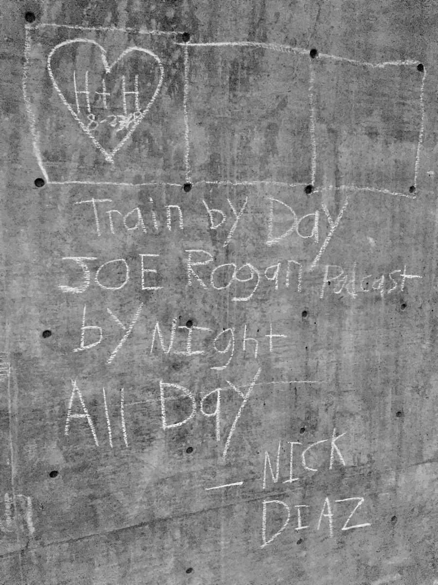 SeniorFellowsJamesP tweet media