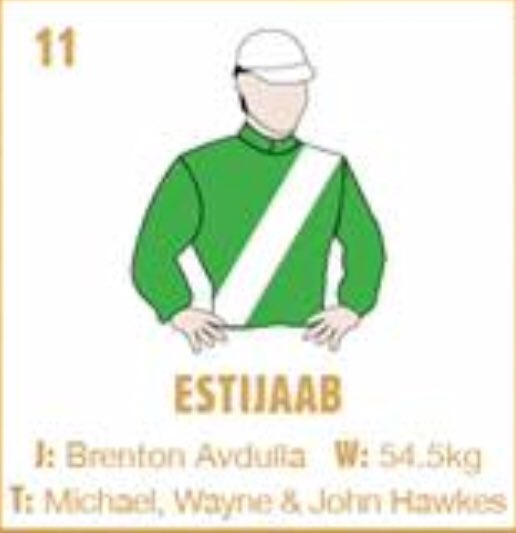 EmiratesPark's tweet image. Dubai owners represented with 6 runners in Golden Slipper with Santos, Enbihaar, Gongs, Oohood, Estijaab and Qafila. Good Luck to all. @godolphin @ShadwellStud @Shiekh_Mohammad @breednet @inglis_sales @DubaiRacingTV @HHShkMohd