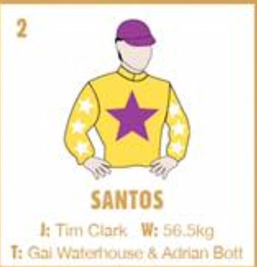 EmiratesPark's tweet image. Dubai owners represented with 6 runners in Golden Slipper with Santos, Enbihaar, Gongs, Oohood, Estijaab and Qafila. Good Luck to all. @godolphin @ShadwellStud @Shiekh_Mohammad @breednet @inglis_sales @DubaiRacingTV @HHShkMohd