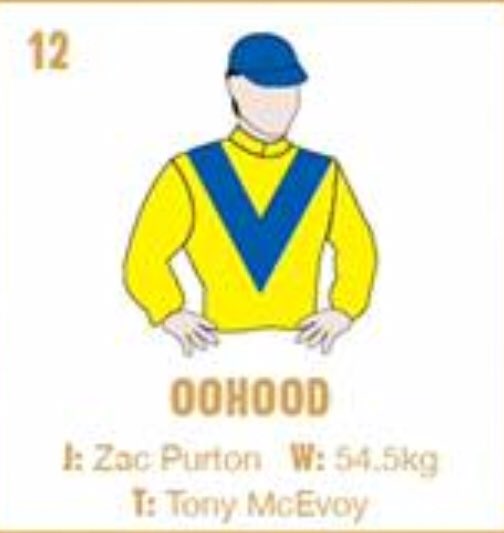 EmiratesPark's tweet image. Dubai owners represented with 6 runners in Golden Slipper with Santos, Enbihaar, Gongs, Oohood, Estijaab and Qafila. Good Luck to all. @godolphin @ShadwellStud @Shiekh_Mohammad @breednet @inglis_sales @DubaiRacingTV @HHShkMohd