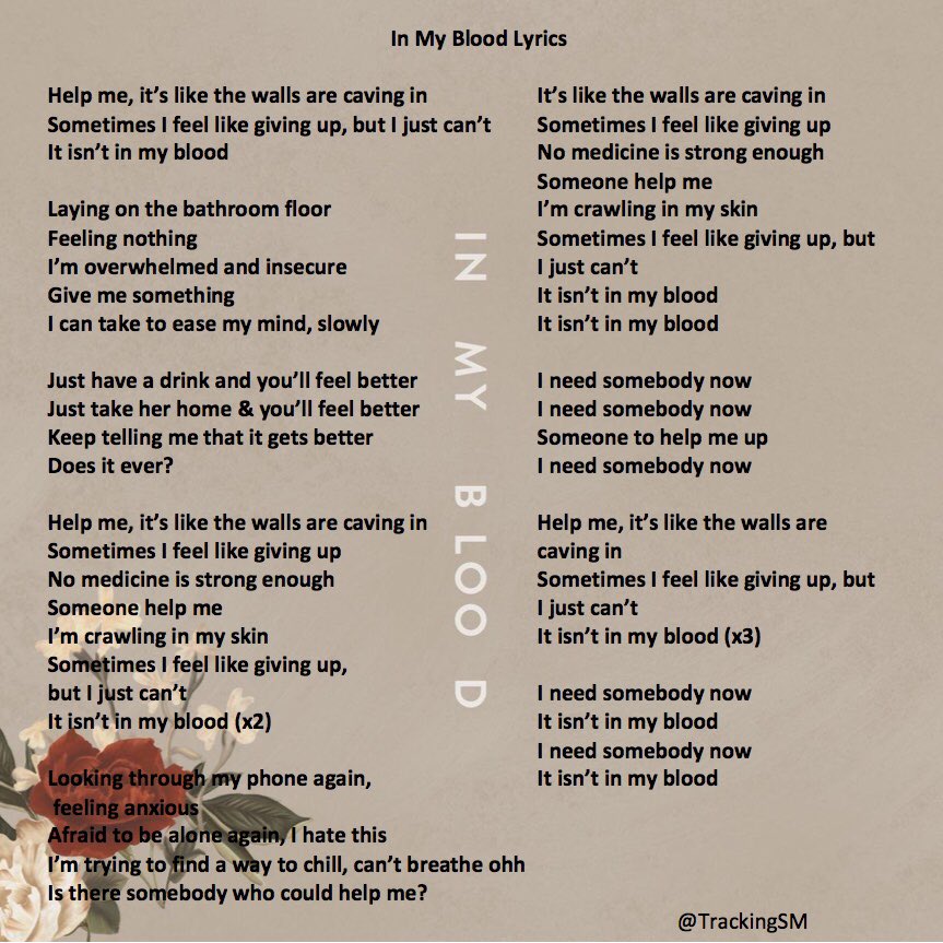 Shawn Mendes Updates On Twitter Here Are The Lyrics To
