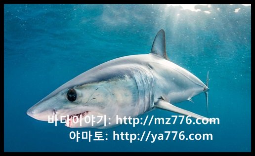 바다이야기 mz776.com
야마토 ya776.com

#모바일현금게임 구조
#모바일현금게임 과정
#모바일현금게임 인수
#모바일현금게임 전자
#모바일현금게임 그룹
#모바일현금게임 대유
#모바일현금게임 한국
#모바일현금게임 비즈