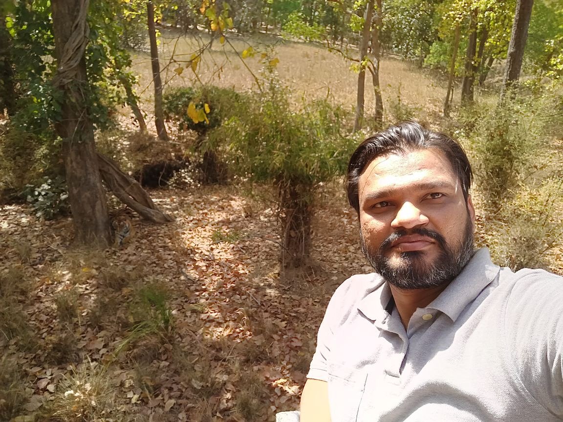 _lokeshsharma's tweet photo. #Selfiewithtiger at #bandhavgarhnationalpark in #madhyapradesh ...
#wildlife #tiger #nationalpark #senctuary #savetigers #selfie #bandhavgarh #mp #mpazabhai #flauraandfauna #jungle #forest #wildlifelovers https://t.co/xiOEkVeChV