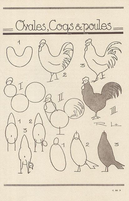 Bird Painting 