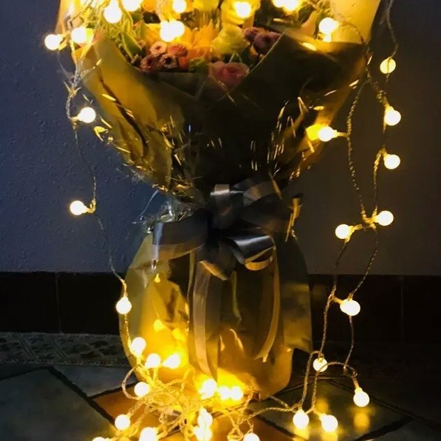 nbakilight's tweet image. #frostballstringlights #ballstringlights #ledfairystring #homedecorlighs #Akilight