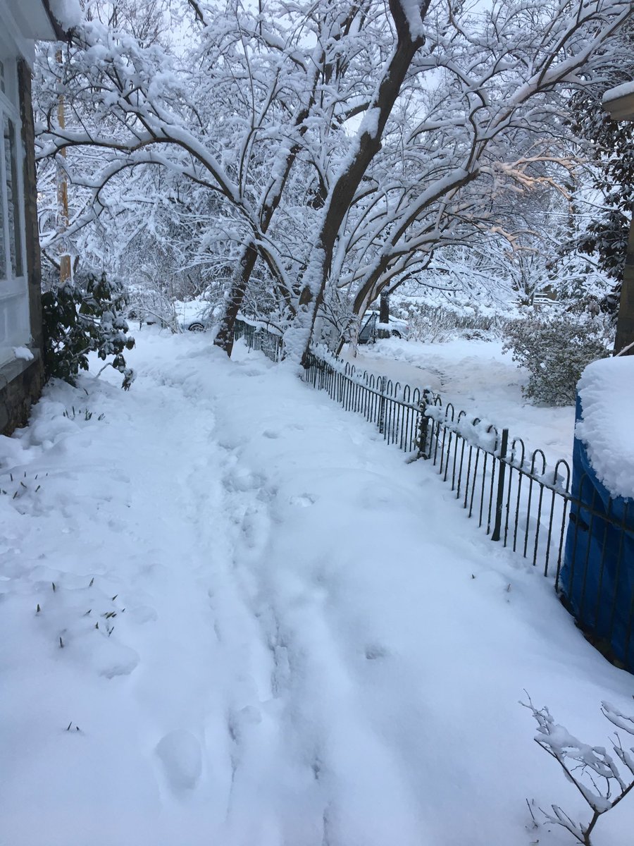 bfscott's tweet image. A beautiful spring morning???