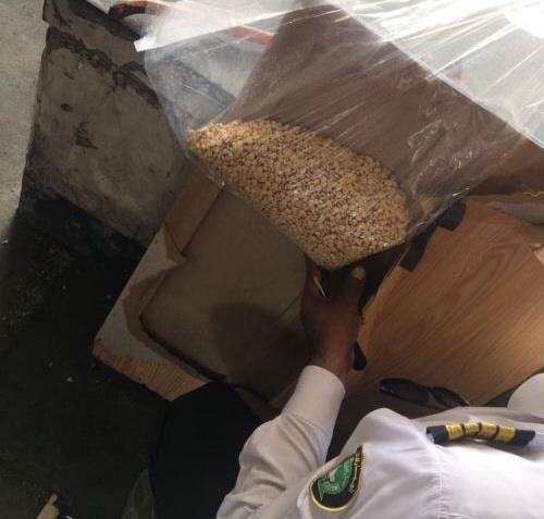 HashEast's tweet image. #عاجل جمرك ميناء #الدمام يُحبط محاولة تهريب 2.6 مليون حبة من حبوب #الكبتاجون المخدرة، مخبأة ضمن إرسالية واردة عبر المنفذ.