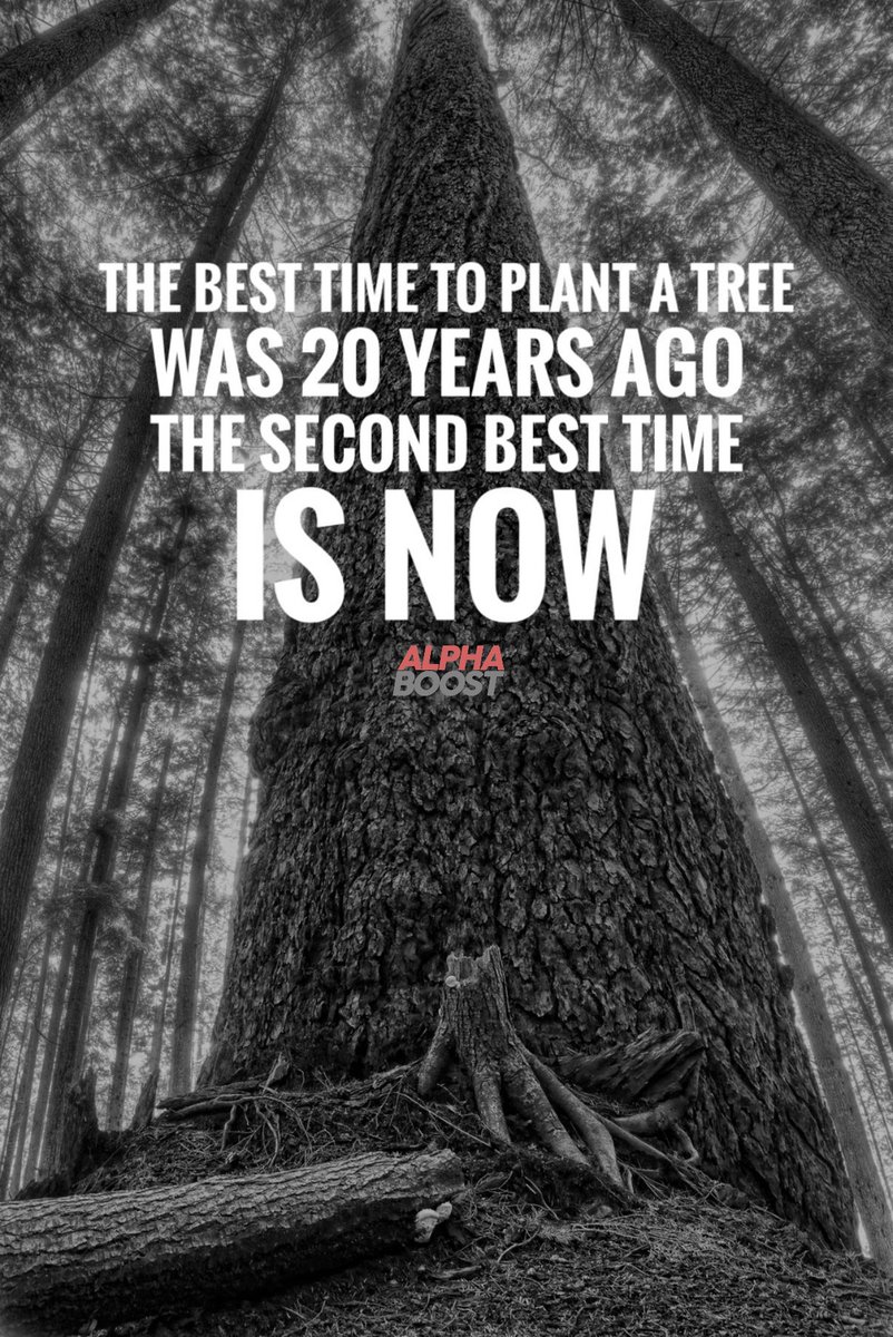 🌲 Have you "planted your tree" already?
👨‍👩‍👦‍👦 Join <a href="/alphaboost/">Alpha Boost</a>.me family
.
.
.
.

#startuplife #nevergiveup #businessowner #buildyourempire #inspiration #goodlife #success #entrepreneur #alwayslearning #millionairelifestyle #business #marketing #grind #dreambig #Motivation