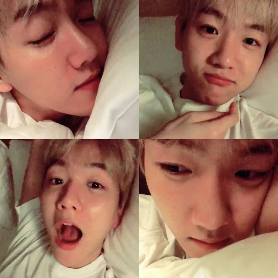 CBF ✌️ 찬백 tweet media