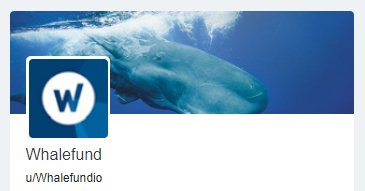 WhaleFUND_io's tweet photo. Now we are on #reddit : https://t.co/bmdE5y4khf

#WHALE #WhaleFUND #Crypto #blockchain #tokens #investing https://t.co/4oscudLSny