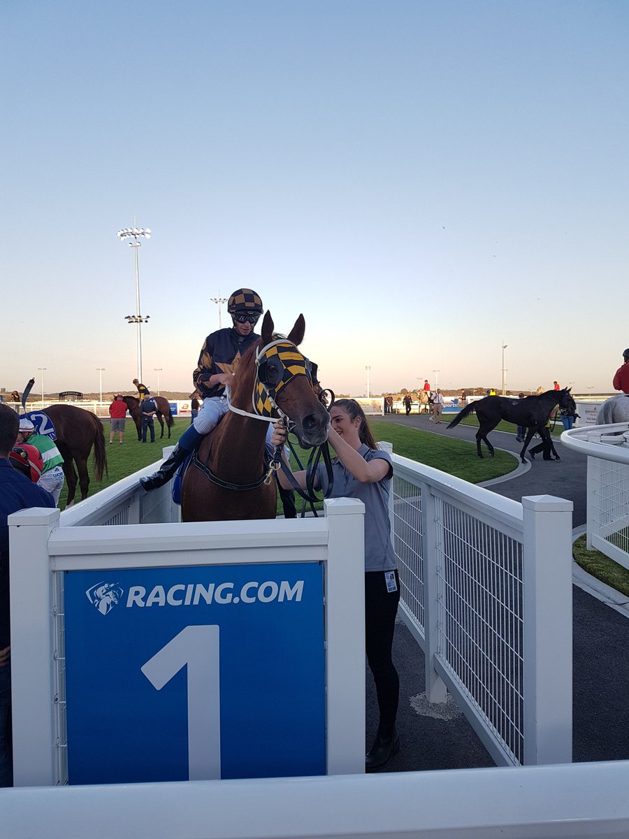 GrandSyndicates's tweet photo. Only an $18,000 yearling, SECOND MARRIAGE was dominant tonight at Pakenham
Beat..
A $145,000 Pierro
A $190,000 Fastnet Rock
As well as plenty more higher $ buys
More proof you don't need to spend a fortune to get a nice horse!
#TeamGrand #AGrandAShare #JoinTheTeamThisYear https://t.co/bKyVa9JLtm