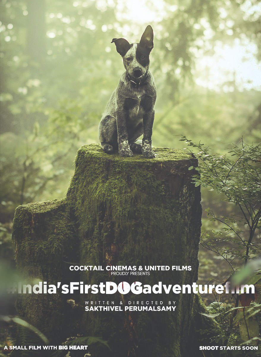 Director_SPS's tweet photo. Here we go, After 8 month of research,Details,Collection of events and Patience  even Neglected by Big starts announcing my next : #IndiasFirstDOGadventurefilm

#Mysecondfeaturefilm 

#asmallfilmwithBigheart

Thanks all my friends and well wishers ..Need ur big support https://t.co/G61lvpq1X7