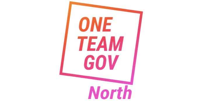 One Team Gov North logo. Orange and pink text on a white background.