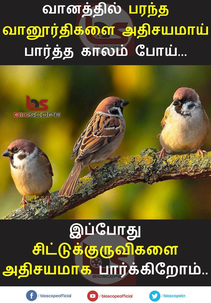 anuj2mohan's tweet image. 