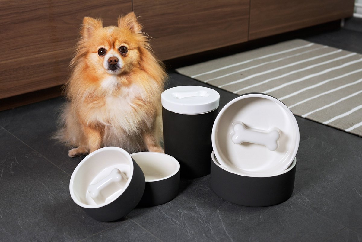 MagissoLtd's tweet photo. We've just published our brand new Happy Pet Project online store! Discover and shop all our ceramic pet bowls and treat jars here: https://t.co/gZRGqzzWRI #HappyPetProject #FinnishDesign https://t.co/9fc2xLqUuM