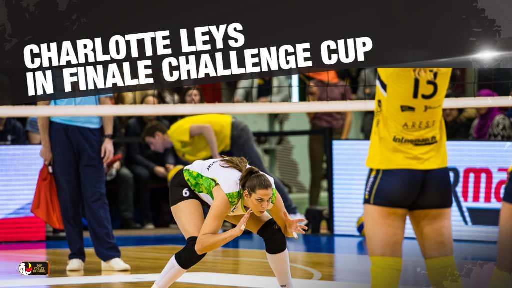 Europees succes voor onze Belgische toppers op topvolleybelgium.be/display/articl…