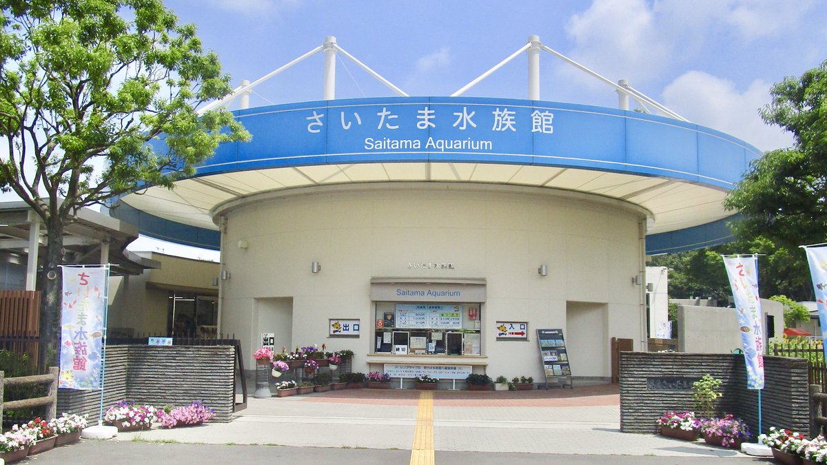 埼玉 さいたま水族館 の料金 営業時間 アクセス 見どころ Suizok全国水族館ネット