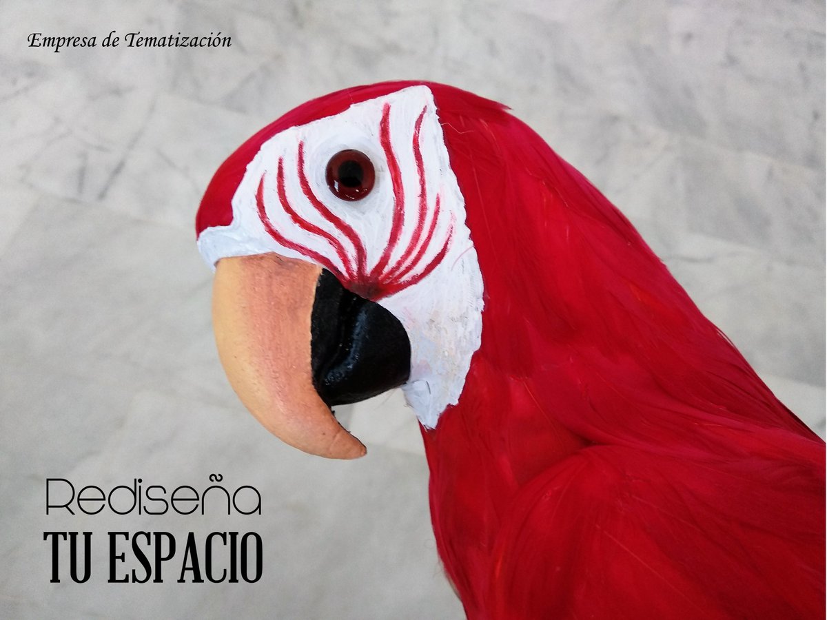 RTuspacio's tweet photo. #Buenosdias Hoy tenemos visita en la oficina, esperamos que se porte bien. #atrezzoanimal #tematización #Tematizar #Felizjueves https://t.co/hErdWCcBoE