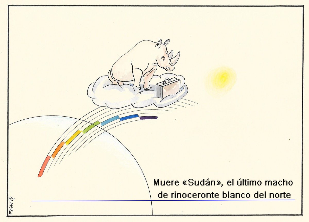 pacocatt's tweet photo. Viñeta especial.
Hace poco se declaraba oficialmente extinto el puma del este de Norteamérica.
Ahora la triste noticia de la desaparición de este auténtico templo de la Naturaleza.
Estas cosas deberían avergonzar a la humanidad. https://t.co/BF3htezITa