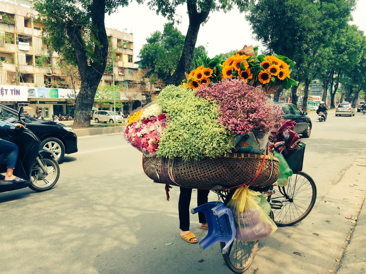 haviet02's tweet photo. #hanoi and #flowers in the #street https://t.co/xKGI1Rzv5t