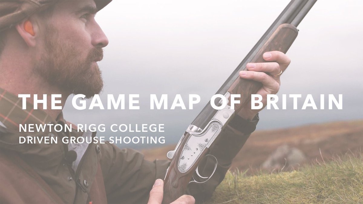 CurtisMossop's tweet photo. A stunning video showcasing the very best of the Game &amp; Wildlife dept at Newton Rigg College. Kindly produced by Shooting Photography https://t.co/9hYZ4Jw7aa https://t.co/dbppCo54OG
