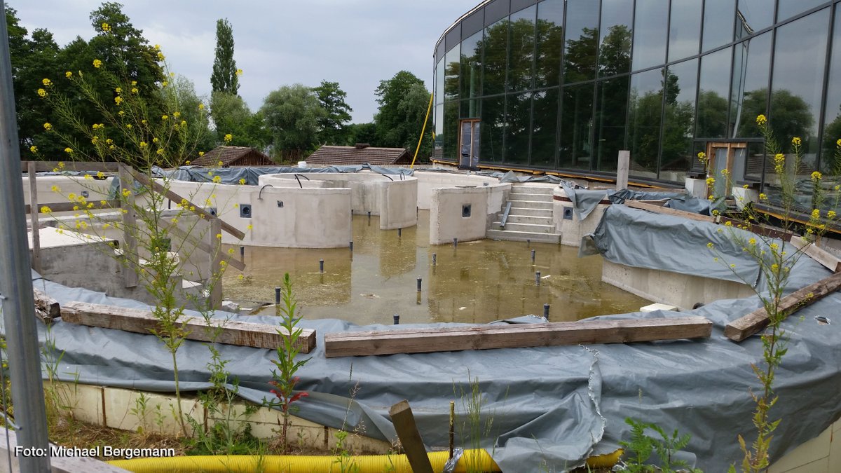 MiBergemann's tweet photo. #BER2 in #Brandenburg
// #SchrottBaustelle #BlütenTherme in #Werder (Havel) soll laut Medienberichten weitere 30 Millionen Euro kosten // Fertigstellung ungewiss //
@rbb24 Video -> https://t.co/KqoZVFLF1V https://t.co/zy4Xhy1DKS