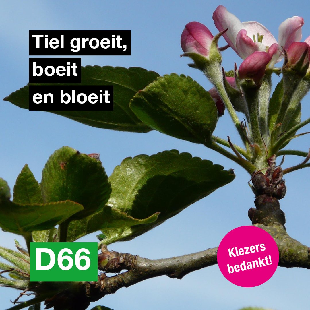 D66 bedankt haar kiezers! Wij voelen ons gesterkt in het vertrouwen dat u ons geeft en gaan vol energie de volgende raadsperiode tegemoet.