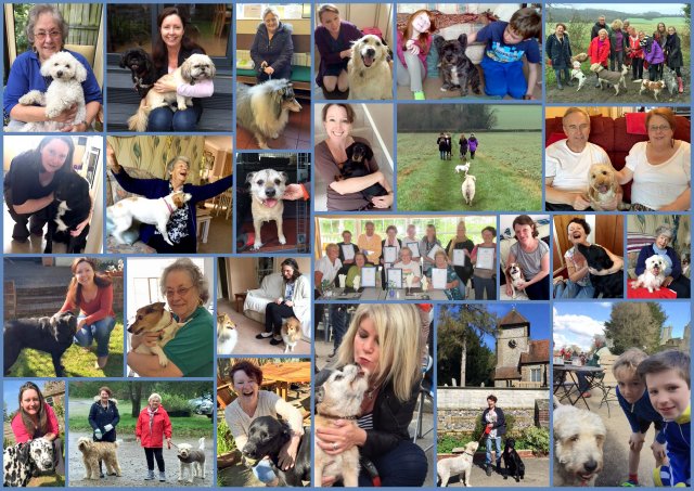 The sun has almost got his hat on! A fabulous day for walking a dog :-) Could you be a host and look after a dog at your home while the owners are away? Call 01959571160 to find out more. #Bromley #beckbromfl