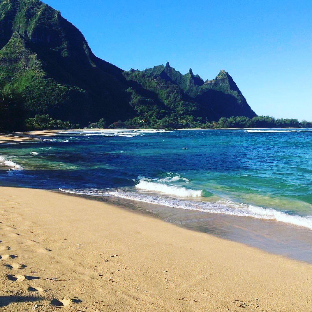 annitomic tweet picture